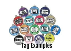 Large Pet Tags - Color Options - Food Thief - Personalized Pet Tag, Dog ID Tag (Small) -Zoo Shop 51uAgky92JL 1