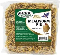 Exotic Nutrition Mealworm & Sunflower Pie - Healthy Natural Suet Basket Feeder Treat - For Backyard Chickens And Wild Birds -Zoo Shop 51uBUSTKR L. AC