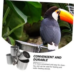 EVANEM 2pcs Feeder Tray Bird Feeder Outdoor Bird Feeder Toy Parrot Hamster Feeding Cups Ferret Water Bottle Water Bird Cup Parrot Feeder Birds Food Cup Pet Parrot Feeder To Feed Xuan Feng -Zoo Shop 51uI89nXyVL