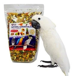 Birds LOVE All Natural Garden Blend Bird Food For Parrots 2lb -Zoo Shop 51umZNCrN0L