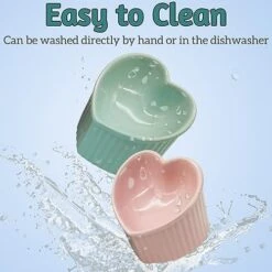 Kathson 2 Pack Ceramic Elevated Cat Bowls Tilted Raised Cat Food Bowls Anti Vomit Cat Bowls For Indoor Cats Elevated Porcelain Pet Feeder Dish Stress Free Cat Water Bowl For Cats Kitty Puppy -Zoo Shop 51v2zm8cz8L