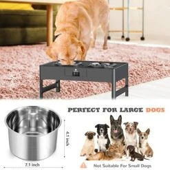 Lapensa Elevated Dog Bowls, Stainless Steel Raised Dog Bowl With Adjustable Stand, Double Dog Food And Water Bowl For Small Medium Large Dogs Grey -Zoo Shop 51vF1uyYkaL