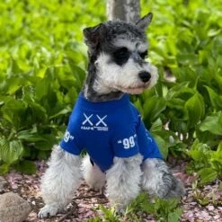 Schnauzer Brand Dog Clothes Thin Pet Cat T-Shirt In Spring And Summer, Bomei Bixiong Small Dog Sunscreen Vest (Blue T-Shirt (kaw),L) -Zoo Shop 51vG ZcT8GL. AC