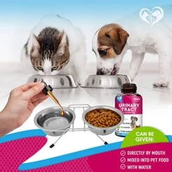 Cat & Dog Urinary Tract Infection Treatment & Natural UTI Medicine Cranberry-Kidney+Bladder Support Supplement - Best Prevention Incontinence, Bladder Stones - Pet Renal Health & UTI Care Drops 9 Cat & Dog Urinary Tract Infection Treatment & Natural UTI Medicine Cranberry-Kidney+Bladder Support Supplement - Best Prevention Incontinence, Bladder Stones - Pet Renal Health & UTI Care Drops -Zoo Shop 51vKLhFaFKL