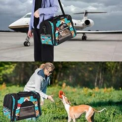 Pet Carrier Cute Cartoon Rolls And Sushi In Kawaii Japanese Food Soft-Sided Pet Travel Carriers For Cats,Dogs Puppy Comfort Portable Foldable Pet Bag Airline Approved -Zoo Shop 51vLMsXgsgS