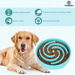 Large Slow Feeder Dog Bowl,Maze Interactive Dog Food Bowl,Anti Gulping Healthy Eating,Stop Bloat Pet Slow Down Feeding Dishes For Medium/Big Dogs(A-Blue)