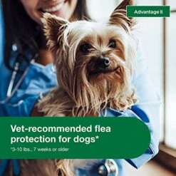 Advantage II Small Dog Vet-Recommended Flea Treatment & Prevention | Dogs 3-10 Lbs. | 4-Month Supply -Zoo Shop 51vaZWk2oEL