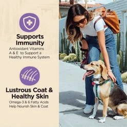 Wellness CORE Digestive Health Dry Senior Food With Wholesome Grains, Advanced Age For Dogs Over 7-Years Old, For Dogs With Sensitive Stomachs, Made In USA With Real Chicken (Senior, 24-Pound Bag) -Zoo Shop 51vaeSh8tTL