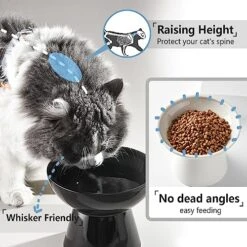 Elevated Raised Cat Food Bowls, Victob 2 Whisker Fatigue Cat Bowl For Food And Water, 6.2 Inch Ceramic Raised Cat Food Bowls Whisker Friendly For Pet Easy Eating, Lead & Cadmium Free, Dishwasher 12 Elevated Raised Cat Food Bowls, Victob 2 Whisker Fatigue Cat Bowl For Food And Water, 6.2 Inch Ceramic Raised Cat Food Bowls Whisker Friendly For Pet Easy Eating, Lead & Cadmium Free, Dishwasher -Zoo Shop 51vimLaF3tL