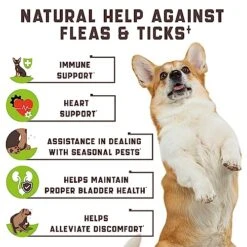 Flea And Tick Prevention Chewable For Dogs - No Collars, No Mess - Easy Help With Flea And Tick For Dogs - American Quality - For All Breeds And Ages - Duck-Flavored Treats - 180 Flea Chews For Dogs -Zoo Shop 51vlluDJBoL