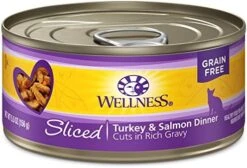 Wellness Complete Health Natural Grain Free Wet Canned Cat Food, Sliced Salmon Entree, 3-Ounce Can (Pack Of 24) -Zoo Shop 51vouYFL8cL. AC