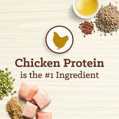 NUTRO MAX Senior Recipe Dry Dog Food With Farm-Raised Chicken, 25 LB Bag -Zoo Shop 51vs3AogtzL