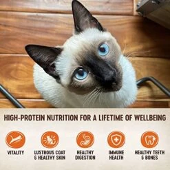 Wellness CORE Tiny Tasters Wet Cat Food, Complete & Balanced Natural Pet Food, Made With Real Meat, 1.75-Ounce Pouch, 12 Pack (Adult Cat, Land Variety Pack) -Zoo Shop 51vsu1qmumL
