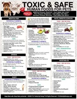 TLC Safety By Design Premium 8.5” X 11” Magnet Toxic Harmful And Safe Foods For Pets Fridge Safety Dogs Cats Poison Emergency Large Format Veterinarian Approved (Quantity 1) -Zoo Shop 51w29xiRxTL. AC 1