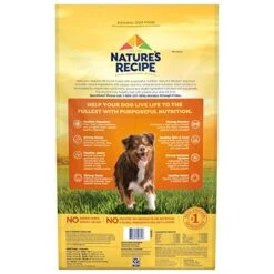 Nature′s Recipe Dry Dog Food, Grain Free Chicken, Sweet Potato & Pumpkin Recipe, 24 Lb. Bag -Zoo Shop 51w8gTEE4bL