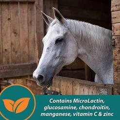 Farnam Next Level Performance Joint Pellets 3.75 Pounds 30 Day -Zoo Shop 51w9MhdX1eS