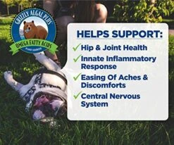 Grizzly Algal Plus Omega Fatty Acids Supplement For Dogs & Cats, 16 Fl Oz - Vegan, Plant-Sourced & Made In USA Algal Oil Omega 3-6-9, Healthy Skin & Coat 9 Grizzly Algal Plus Omega Fatty Acids Supplement For Dogs & Cats, 16 Fl Oz - Vegan, Plant-Sourced & Made In USA Algal Oil Omega 3-6-9, Healthy Skin & Coat -Zoo Shop 51wB6gAFiOL