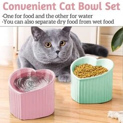 Kathson 2 Pack Ceramic Elevated Cat Bowls Tilted Raised Cat Food Bowls Anti Vomit Cat Bowls For Indoor Cats Elevated Porcelain Pet Feeder Dish Stress Free Cat Water Bowl For Cats Kitty Puppy -Zoo Shop 51wIG95hebL