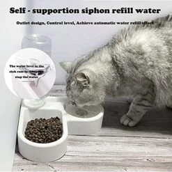 Double Dog Cat Bowls - Pets Water And Food Bowl Set With Automatic Water Bottle, Raised Pet Feeder Bowl For Cats And Small Dogs -Zoo Shop 51wIqPlEWaS