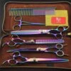 High-End 8.0 Inch Professional Colorful Hairdressing Scissors Set Pet Grooming Cutting Steel Plating Kit Straight & Thinning & Curved Shears Combs 5 Pcs Set For Cat Dog Teddy And More Pets Clean Tool -Zoo Shop 51wJOFcUFqL