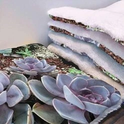 GENERIC Yellow Machine Washable Warm Mattress For Dogs And Cats Breakfast Food Cartoon Like Image Mat Double Layer Washable For Dog Bed, Couch, Sofa, Car Fast Food Dessert 25" X 35" -Zoo Shop 51wLFwiXKNL. AC