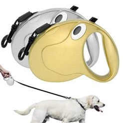 Dog Leash Retractable 16ft Automatic Extending Dog Leashes Nylon Flexible Puppy Walking Lead For Small Medium Large Dog Bulldog Gold 5M