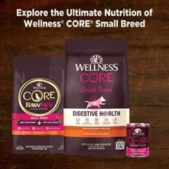 Wellness CORE Natural Grain Free Small Breed Mini Meals Wet Dog Food, Shredded Chicken & Turkey Dinner In Gravy, 3-Ounce Pouch (Pack Of 12) -Zoo Shop 51x0n81HBrL