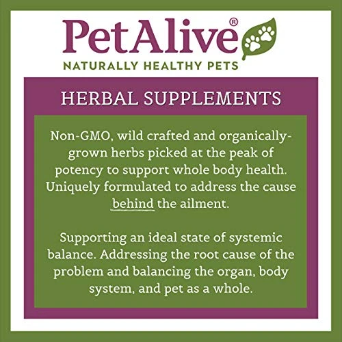 PetAlive Thyro-Pet - All Natural Herbal Supplement Promotes Normal Thyroid Gland Functioning In Dogs And Cats 6 PetAlive Thyro-Pet - All Natural Herbal Supplement Promotes Normal Thyroid Gland Functioning In Dogs And Cats - Image 4