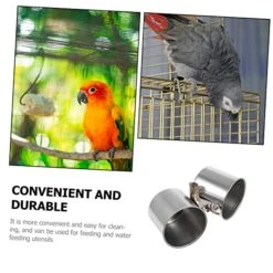 EVANEM 2pcs Feeder Tray Bird Feeder Outdoor Bird Feeder Toy Parrot Hamster Feeding Cups Ferret Water Bottle Water Bird Cup Parrot Feeder Birds Food Cup Pet Parrot Feeder To Feed Xuan Feng 12 EVANEM 2pcs Feeder Tray Bird Feeder Outdoor Bird Feeder Toy Parrot Hamster Feeding Cups Ferret Water Bottle Water Bird Cup Parrot Feeder Birds Food Cup Pet Parrot Feeder To Feed Xuan Feng -Zoo Shop 51x6WK827xL 1