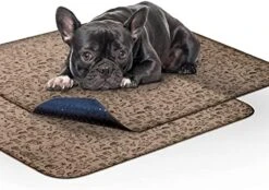 Paw Inspired Washable Pee Pads For Dogs | Reusable Puppy Pads | Waterproof Whelping Pads | Washable Training Pet Pads, Washable Potty Pads Extra Large Sizes (Round, 29" (2 Pack)) -Zoo Shop 51xA Miu6GL. AC