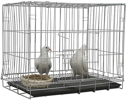 Kelendle Pigeon Cage Rabbit Cage Small Animal Cage Pet Habitat Wire Pet Home Frame Bunny House With Food Dish Tray Accessories For Medium Bird Parrot Chicken Duck Cat (19.7x13.8x16.6 Inches) 10 Kelendle Pigeon Cage Rabbit Cage Small Animal Cage Pet Habitat Wire Pet Home Frame Bunny House With Food Dish Tray Accessories For Medium Bird Parrot Chicken Duck Cat (19.7x13.8x16.6 Inches) - Image 8