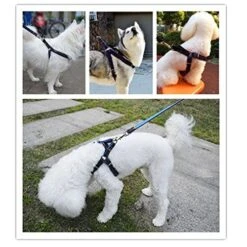 FakeFace Heavy Duty Denim Nylon No Pull Dog Leash Harness/Collar Set For Medium Large Dogs Of High Durability Adjustable, Perfect For Training Walking Dogs