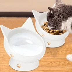 Cat Bowl, Raised Cat Food Bowls Anti Vomiting, Handmade Elevated Cat Bowl, Ceramic Pet Food Bowl For Flat-Faced Cats, Small Dogs, Protect Pet's Spine,Dishwasher Safe, Black And White, 2pcs (Bowl-2) -Zoo Shop 51xNfADNVUL. AC