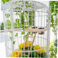 EVANEM 1 Set Feeder Parakeet Perch Humming Bird Feeder Stainless Steel Containers Cage Pet Food Container Bird Food Feeder Pet Parrot Playstand Parrot Eating Bowl Parrot Feeder Birds Tray -Zoo Shop 51xQii7etNL