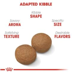 Royal Canin Large Breed Adult Dry Dog Food, 30 Lb Bag -Zoo Shop 51xZJL0pm7L