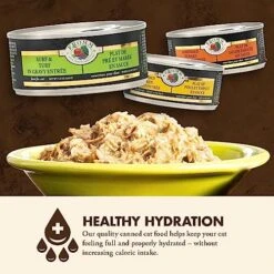 Fromm Four-Star Nutritionals Surf & Turf In Gravy Entrée - Premium Wet Cat Food - Chicken Recipe - Case Of (12) 5.5 Oz Cans -Zoo Shop 51xbIOYWzpL