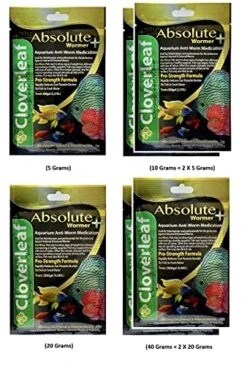 Plymouth Discus Product WORMER Plus - Freshwater And Saltwater Fish Powder Medication. With Parasites And Flukes. (5G - Treats 600 GALLONS) -Zoo Shop 51xdtXMGy9S 1