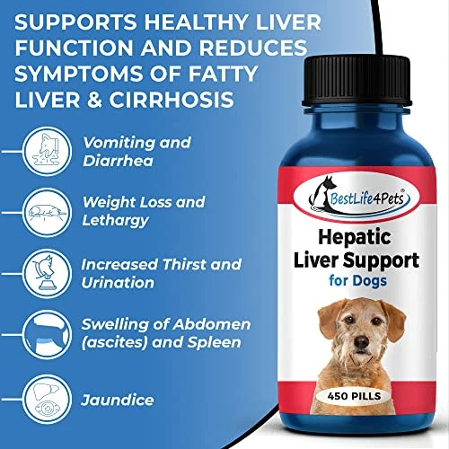 BestLife4Pets Hepatic Dog Liver Support - Dissolvable Homeopathic Liver And Digestive Canine Supplement For Liver Detox And Nutrient Absorption - 100% All Natural - Free Of Chemicals Or Additives 6 BestLife4Pets Hepatic Dog Liver Support - Dissolvable Homeopathic Liver And Digestive Canine Supplement For Liver Detox And Nutrient Absorption - 100% All Natural - Free Of Chemicals Or Additives - Image 4