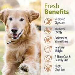 JustFoodForDogs Pantry Fresh Dog Food, Human Grade Lamb & Brown Rice (12 Pack) -Zoo Shop 51xexX9qaPL
