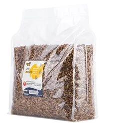 RANZ 5LBS Bulk Non-GMO Dried Mealworms For Chickens, High In Protein Mealworm Treats, Best For Wild Birds, Ducks, Hens, Fish, Turtle, Hedgehog, Hamster, Reptiles & Amphibian.