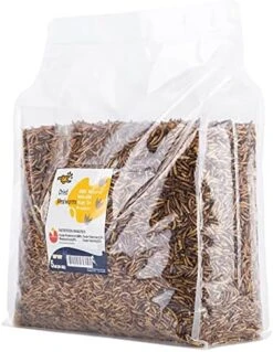 RANZ 5LBS Bulk Non-GMO Dried Mealworms For Chickens, High In Protein Mealworm Treats, Best For Wild Birds, Ducks, Hens, Fish, Turtle, Hedgehog, Hamster, Reptiles & Amphibian. -Zoo Shop 51xsXDogFPL. AC