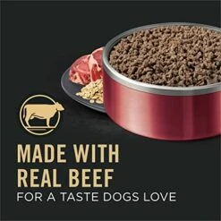 Purina Pro Plan Sensitive Skin And Stomach Wet Dog Food Pate Sensitive Skin And Stomach Beef And Oat Meal Entree - (12) 13 Oz. Cans