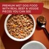 Rachael Ray Nutrish Wet Dog Food, Beef & Pumpkin, 13 Ounce Can (Pack Of 12) -Zoo Shop 51y32zmbGIL