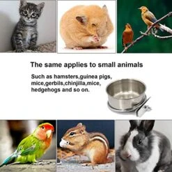 Ymmsuuie 2 Pack Bird Food Bowl With 1 Fruit Skewer Holder, Stainless Steel Parrot Feeder With Clamp For Cage,Stainless Steel Bowls For Cats And Dog, Bird Cage Food Water Bowls 16 Ymmsuuie 2 Pack Bird Food Bowl With 1 Fruit Skewer Holder, Stainless Steel Parrot Feeder With Clamp For Cage,Stainless Steel Bowls For Cats And Dog, Bird Cage Food Water Bowls -Zoo Shop 51yJYFnKZcL