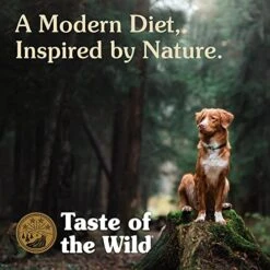 Taste Of The Wild Pacific Stream Grain-Free Dry Dog Food With Smoke-Flavored Salmon 5lb -Zoo Shop 51yecZPZmKL 7