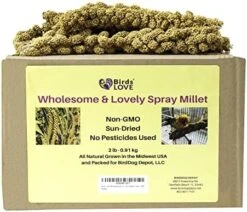 Birds LOVE Wholesome & Lovely Spray Millet Non-GMO No Pesticide (No Stems Only Edible Tops) For Parrots Birds Cockatiel Lovebird Keets Finch Canary All Parrots Healthy Treat-5lbs… -Zoo Shop 51ygVh jXsL. AC