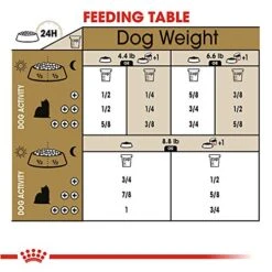 Royal Canin Yorkshire Terrier Adult Dry Dog Food, 2.5 Lb Bag -Zoo Shop 51yvPY3OqqL