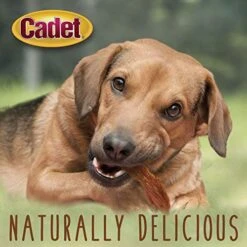 Cadet Gourmet Duck Breast Dog Treats - Healthy & Natural Dog Training Treats For Small & Large Dogs - Inspected & Tested In USA (2.5 Lb.) -Zoo Shop 51z8xozYyTL
