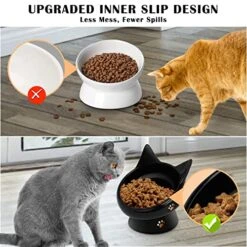 Cat Bowl, Raised Cat Food Bowls Anti Vomiting, Handmade Elevated Cat Bowl, Ceramic Pet Food Bowl For Flat-Faced Cats, Small Dogs, Protect Pet's Spine,Dishwasher Safe, Black And White, 2pcs (Bowl-2) -Zoo Shop 51zSzdf4k9L