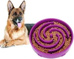 Large Slow Feeder Dog Bowl,Maze Interactive Dog Food Bowl,Anti Gulping Healthy Eating,Stop Bloat Pet Slow Down Feeding Dishes For Medium/Big Dogs(A-Blue) 24 Large Slow Feeder Dog Bowl,Maze Interactive Dog Food Bowl,Anti Gulping Healthy Eating,Stop Bloat Pet Slow Down Feeding Dishes For Medium/Big Dogs(A-Blue) -Zoo Shop 51zWiziwrL. AC